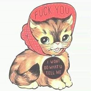 Meet your Posher, Maren